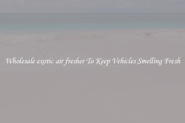 Wholesale exotic air fresher To Keep Vehicles Smelling Fresh