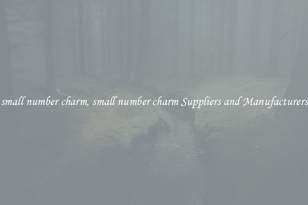 small number charm, small number charm Suppliers and Manufacturers