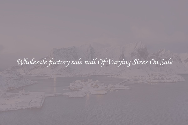 Wholesale factory sale nail Of Varying Sizes On Sale