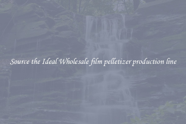 Source the Ideal Wholesale film pelletizer production line