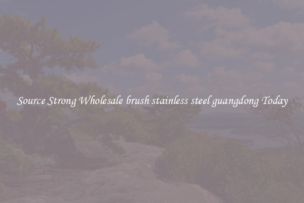 Source Strong Wholesale brush stainless steel guangdong Today