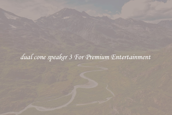 dual cone speaker 3 For Premium Entertainment 