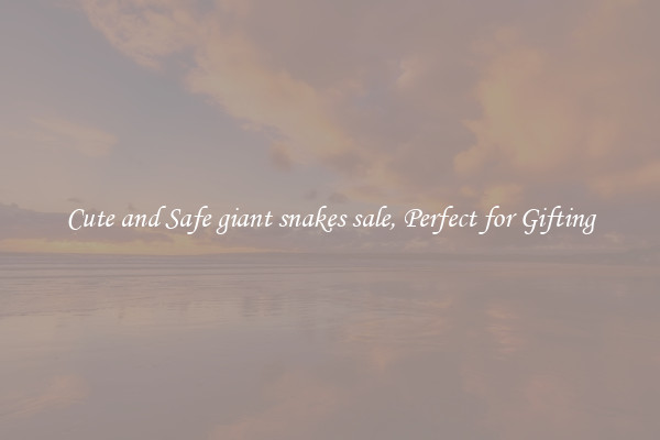 Cute and Safe giant snakes sale, Perfect for Gifting