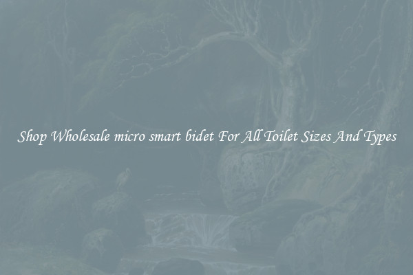 Shop Wholesale micro smart bidet For All Toilet Sizes And Types