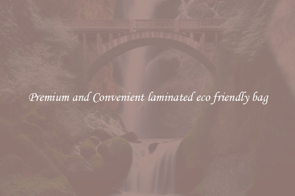 Premium and Convenient laminated eco friendly bag