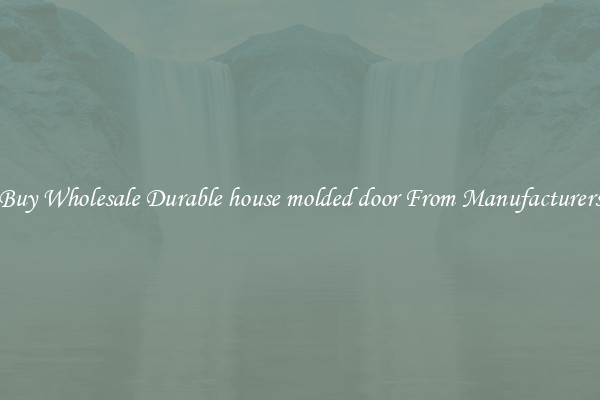 Buy Wholesale Durable house molded door From Manufacturers