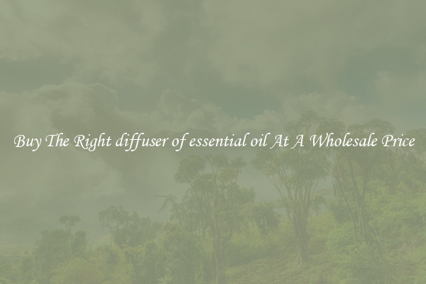 Buy The Right diffuser of essential oil At A Wholesale Price