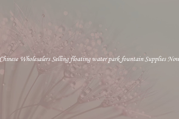 Chinese Wholesalers Selling floating water park fountain Supplies Now