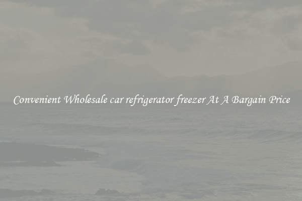 Convenient Wholesale car refrigerator freezer At A Bargain Price
