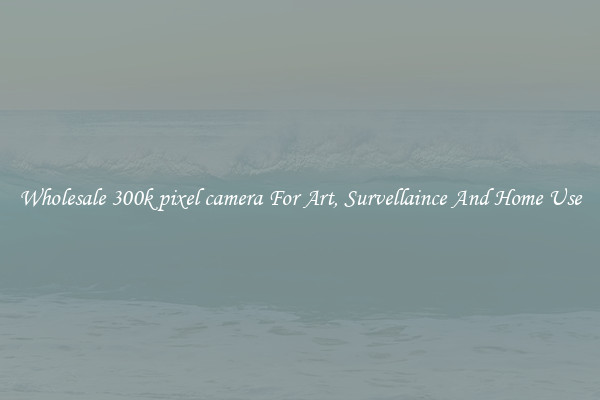 Wholesale 300k pixel camera For Art, Survellaince And Home Use