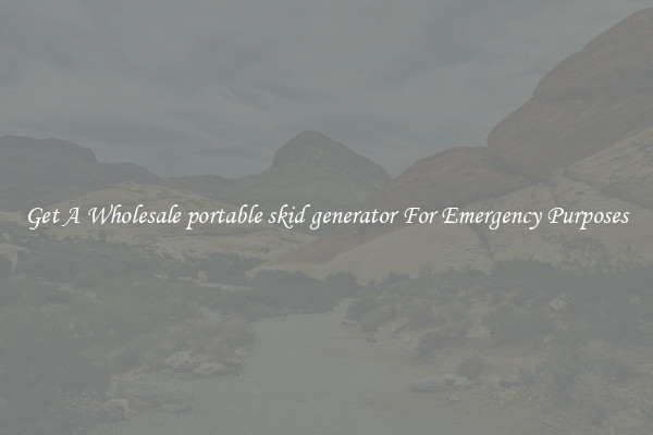 Get A Wholesale portable skid generator For Emergency Purposes