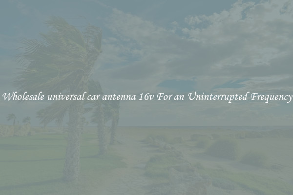 Wholesale universal car antenna 16v For an Uninterrupted Frequency